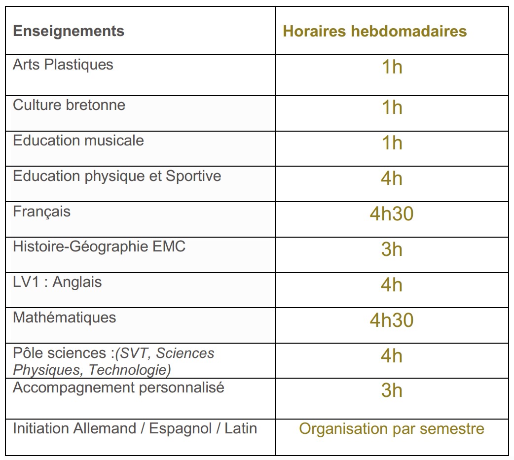 Enseignement 6