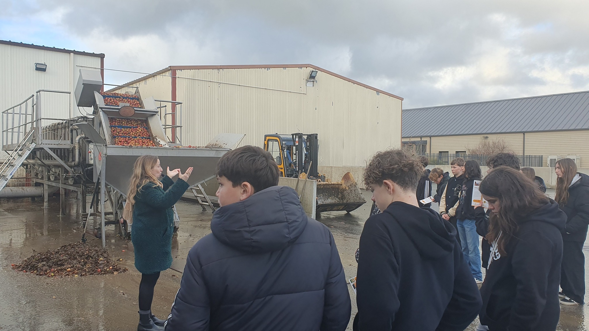 591738875 122115639087007126 8299187064247209347 n